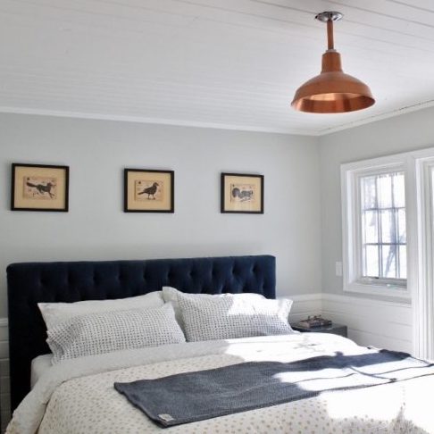 Dino Stem Mount Pendant Light | Photo Courtesy of Homeowner